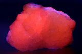 Superb Manganoan Calcite Crystal Cluster - Highly Fluorescent! #347653-1